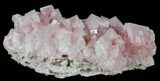 Pink Halite Crystal Plate - Trona, California #61062-3